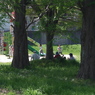 写真句：平和・公園の家族：NTW 127