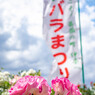 バラまつり 