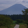 再登場