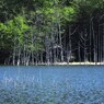その泉、碧く湧き立ちて