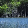 その泉、碧く湧き立ちて