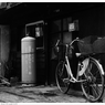 福岡市東区馬出 Nikon_FE_Kodak_400TX__29