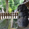 手水舎_獅子_荻窪八幡神社
