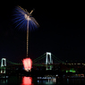 STAR ISLAND花火_16