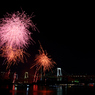 STAR ISLAND花火_18