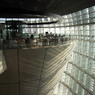 DSCN8509