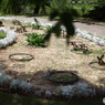 植物園