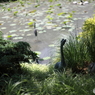 植物園