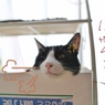 イラッとする日？