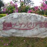 初めての宮崎ブーゲンビリア空港