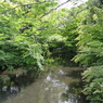 湯布院の自然