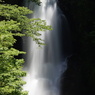 奈曽の白滝