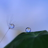 分かち合う love