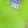 DSC_0003_DxO2