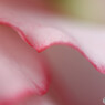 DSC_0032_DxO
