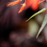 DSC_0033_DxO