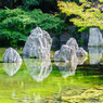 ～万博記念公園～日本庭園 泉