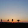 メルヘンの丘の夕日