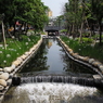 台中01