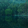 Echoing  green