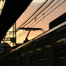 Evening Train