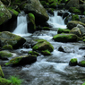 moss little falls ①