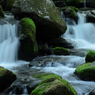 moss little falls ②