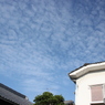 白い雲
