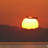 2018-6-1 夕日と飛行機