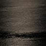 海