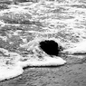 流れついた先