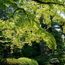 DSC_0007_DxO