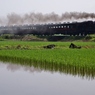 真岡鉄道のSLプッシュプル運転①