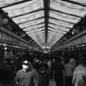 ある日の憶測をまとった日常