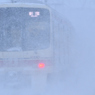 大雪の中