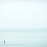 海