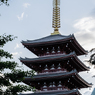 浅草神社 三社祭 2018