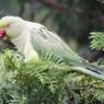 むさぼり食う・・