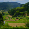 棚田