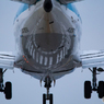 ご機嫌笑み！