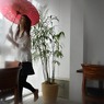 s-DSC_0359