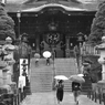 雨の参拝