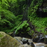 green world