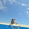 海と空とアンリ２