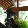 手水舎_龍_馬橋稲荷神社