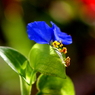 IMG_3785_r
