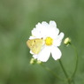 IMG_3806_r