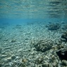 JUNE RIVER BLUE 6