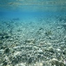 JUNE RIVER BLUE 7