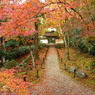 地蔵院